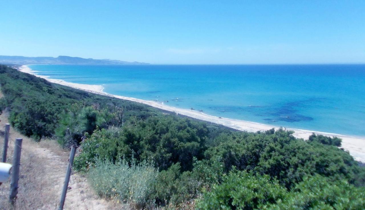 Villa Rossini Valledoria  Dış mekan fotoğraf